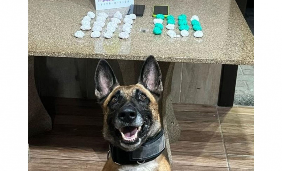 PM identifica 6,7 mil carros em excesso de velocidade nas rodovias durante o Carnaval