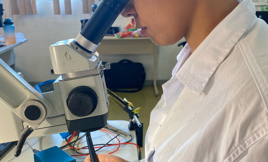 Seção da Polícia Científica bate recorde de perícias em vestígios cibernéticos em 2024