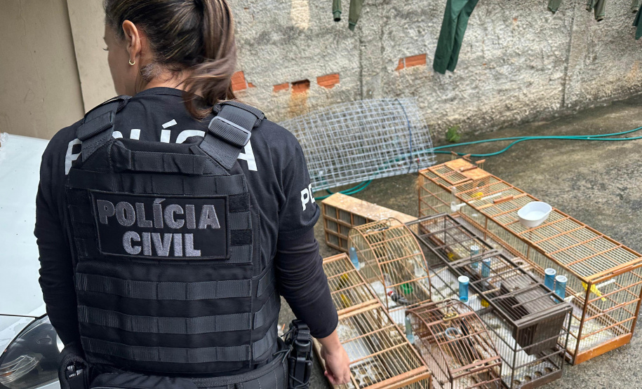 PCPR deflagra operação contra organização ligada ao tráfico de animais silvestres