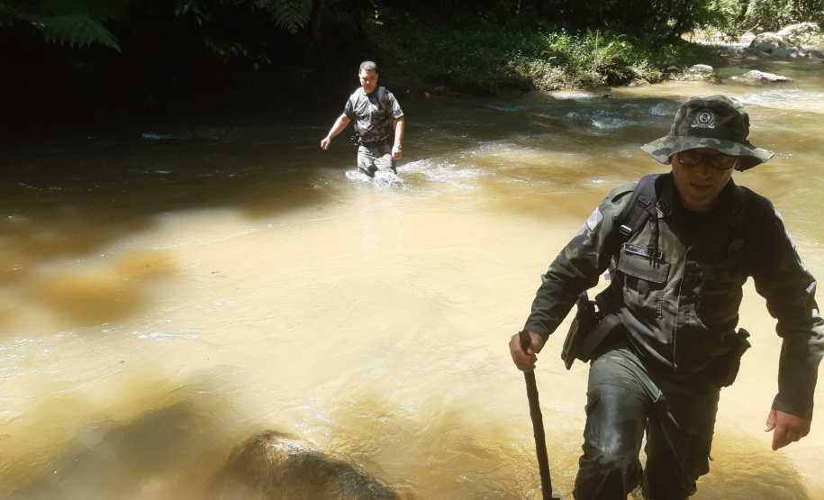 Polícias Militares do Paraná e São Paulo realizam operação integrada no Parque Estadual das Lauráceas
