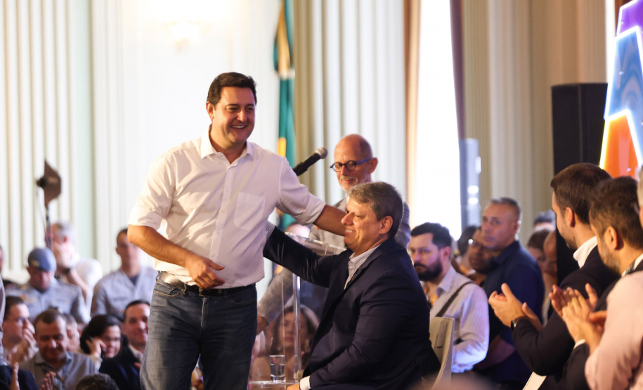 Governadores do Cosud firmam pacto pela segurança com proposta de endurecimento de leis penais