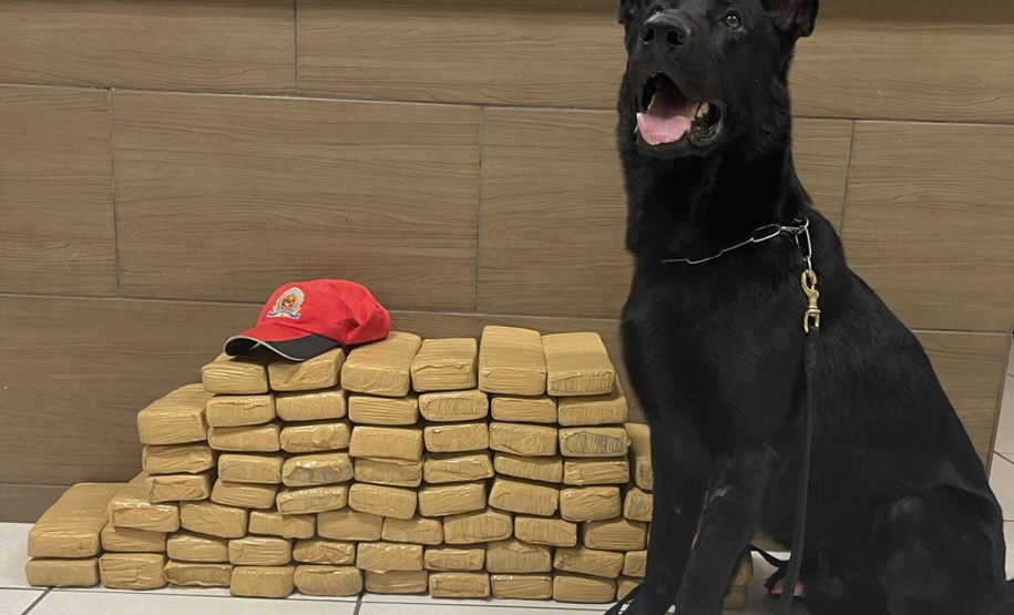 PMPR intercepta ônibus na PR-323 e encontra 42,5 kg de maconha