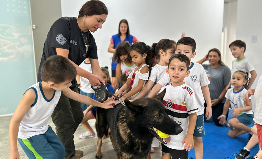 PCPR na Comunidade levará serviços gratuitos a Paranavaí, General Carneiro e Campo Largo