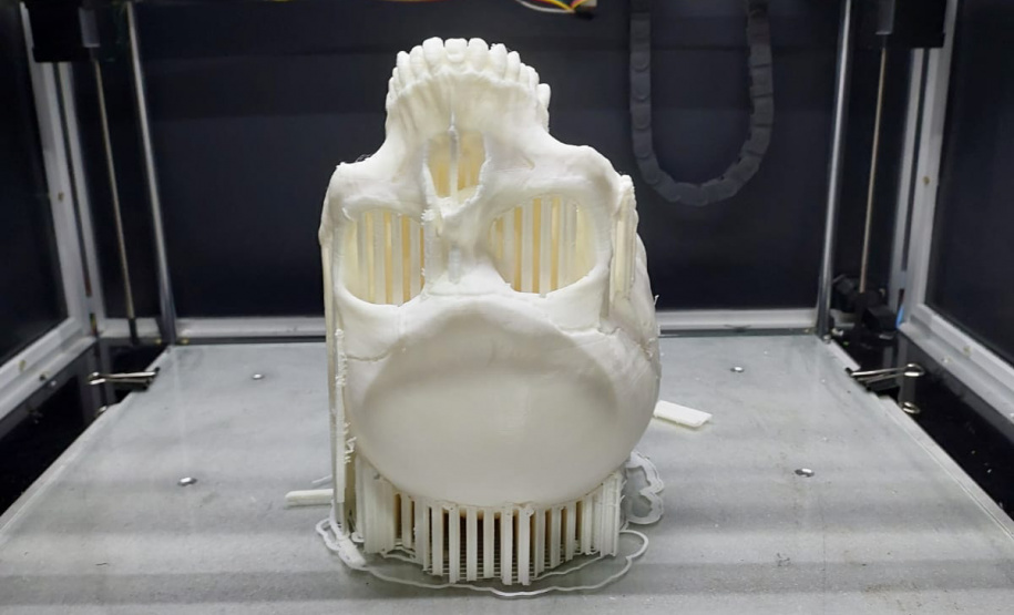 Réplica em 3D de crânio é a novidade no acervo do Museu de Ciências Forenses