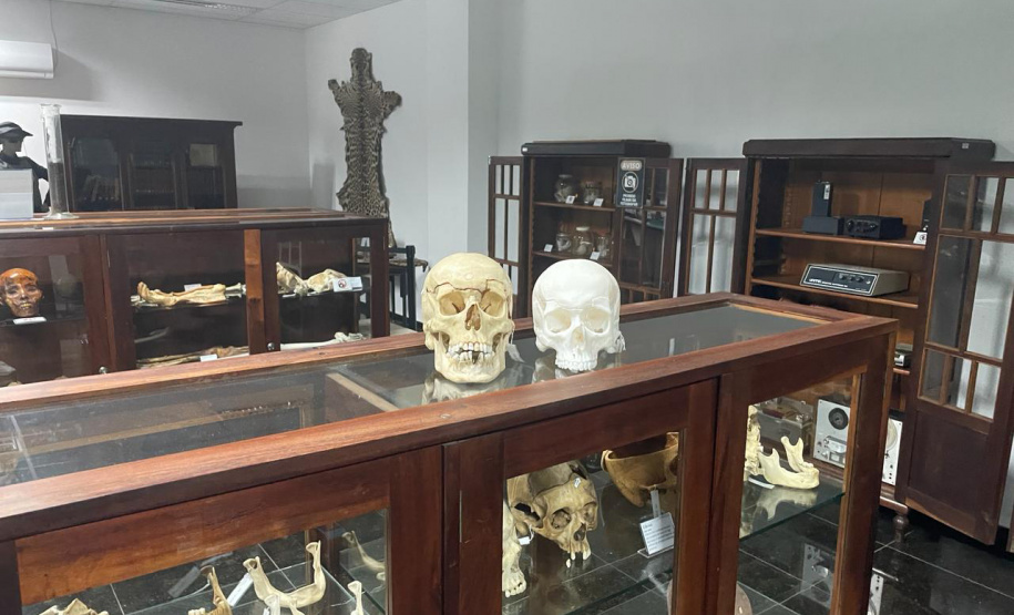 Réplica em 3D de crânio é a novidade no acervo do Museu de Ciências Forenses
