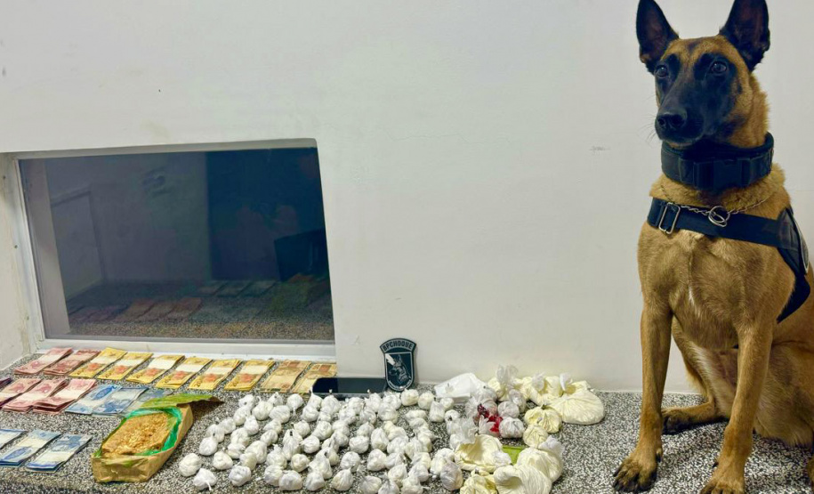 Polícia Militar apreende 2 toneladas de maconha em caminhão em Iguaraçu
