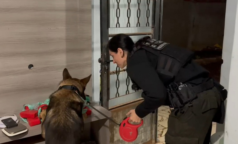 PCPR e PMPR cumprem 19 mandados contra grupo ligado a homicídios em Cascavel