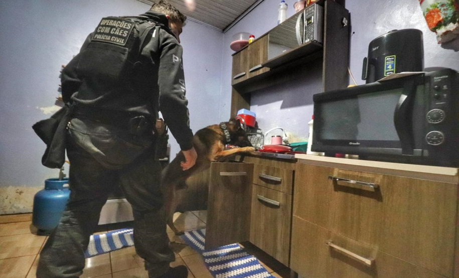 PCPR e PMPR cumprem 19 mandados contra grupo ligado a homicídios em Cascavel