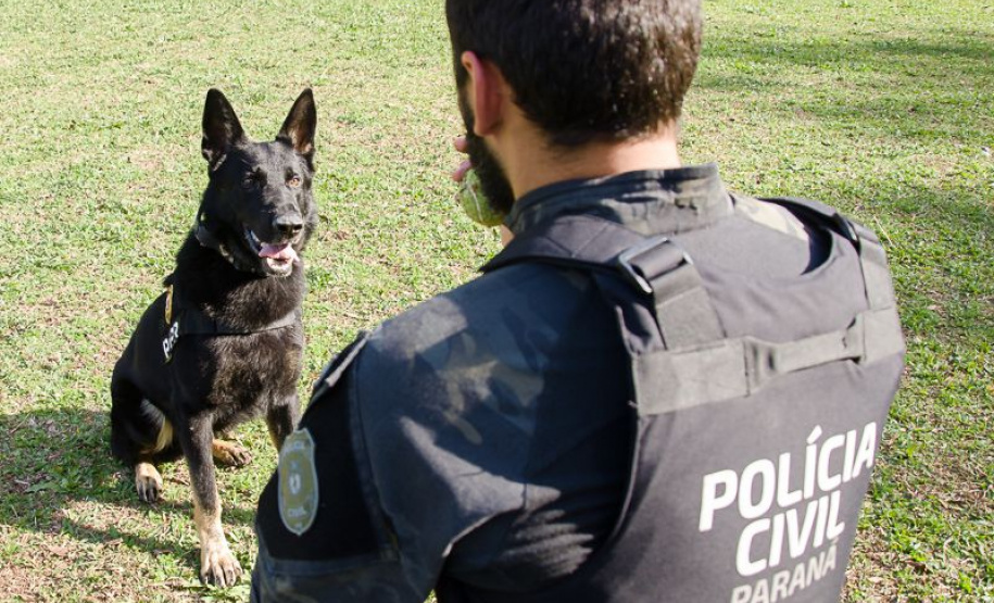 Polícia Civil do Paraná promoverá ações em alusão ao Junho Branco