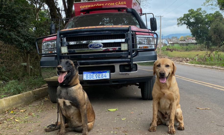 Paraná sedia pela 1ª vez Certificação Nacional de Cães de Busca e Resgate
