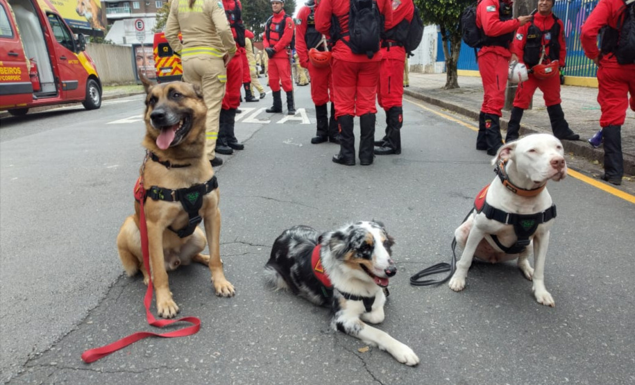 Paraná sedia pela 1ª vez Certificação Nacional de Cães de Busca e Resgate