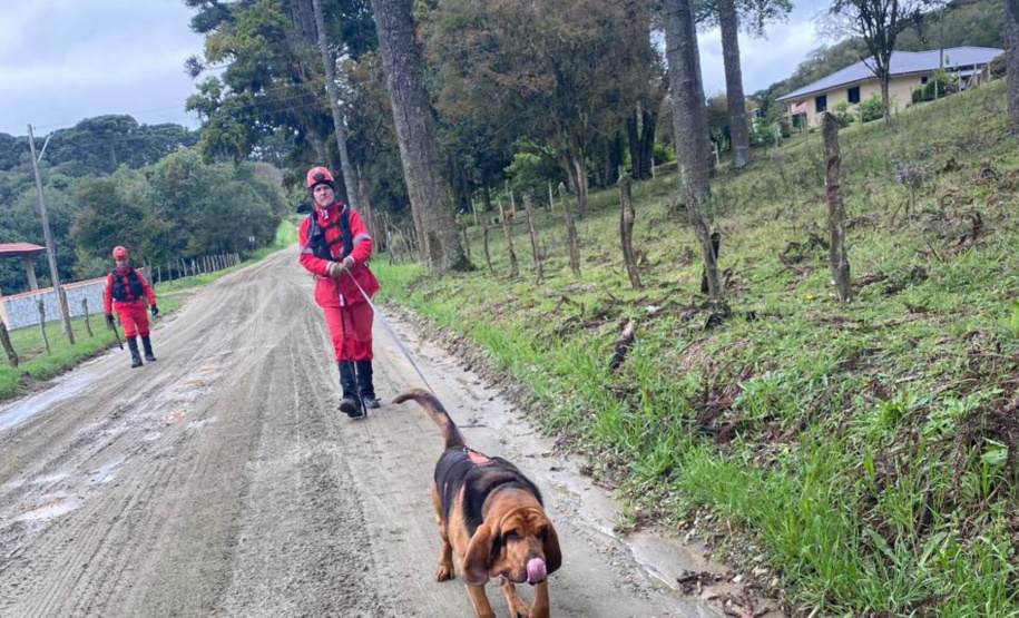 Paraná sedia pela 1ª vez Certificação Nacional de Cães de Busca e Resgate