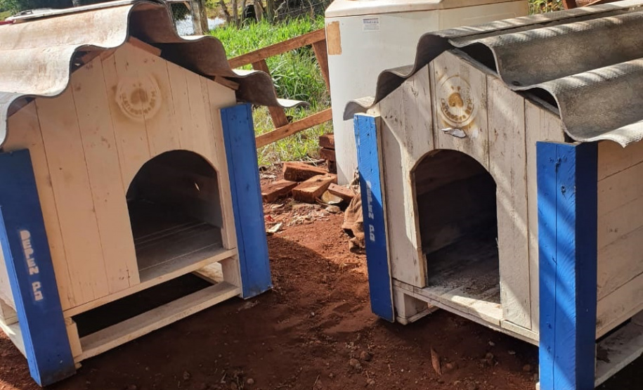 Casinhas feitas em penitenciária do Paraná vão ajudar a abrigar animais resgatados no RS