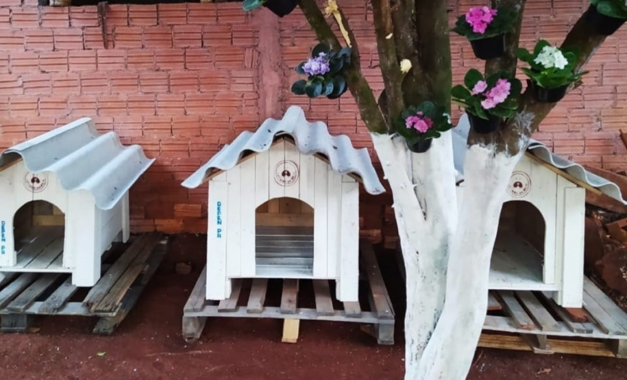 Casinhas feitas em penitenciária do Paraná vão ajudar a abrigar animais resgatados no RS