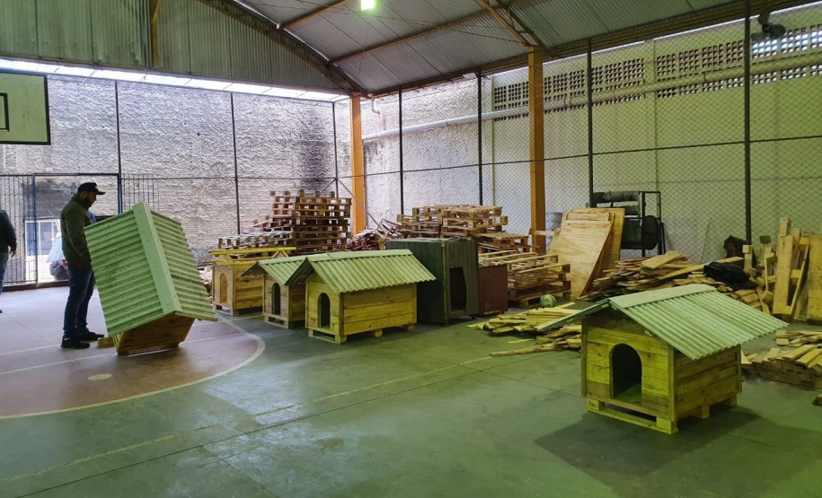 Casinhas feitas em penitenciária do Paraná vão ajudar a abrigar animais resgatados no RS