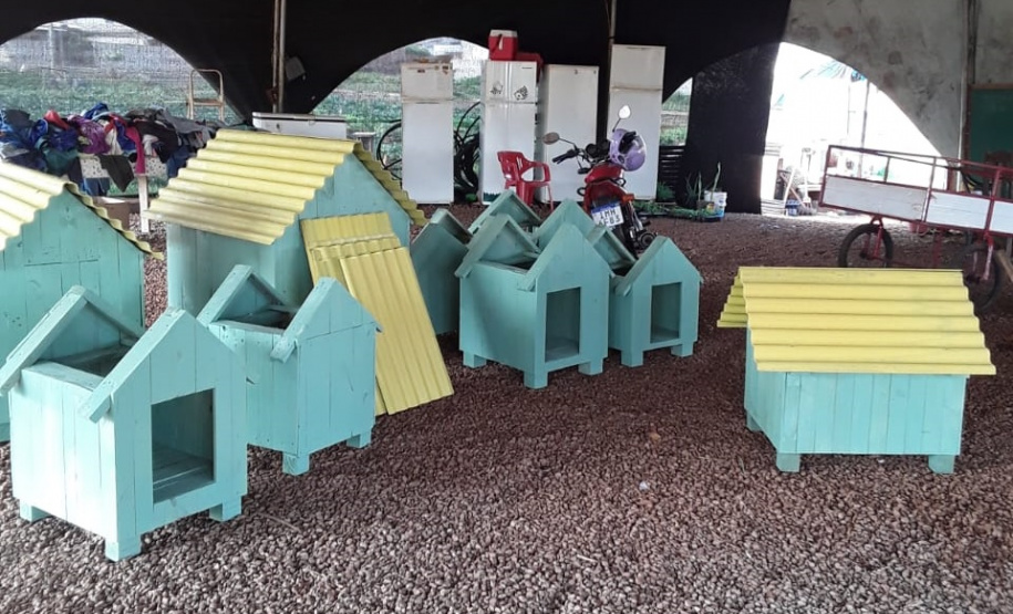 Casinhas feitas em penitenciária do Paraná vão ajudar a abrigar animais resgatados no RS