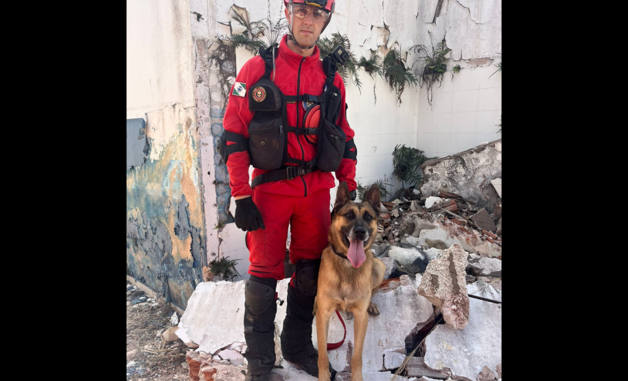 Com certificação nacional de duplas, Paraná amplia número de cães aptos para resgates