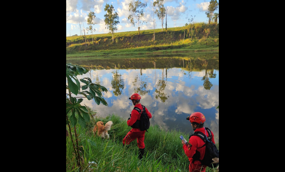 Com certificação nacional de duplas, Paraná amplia número de cães aptos para resgates