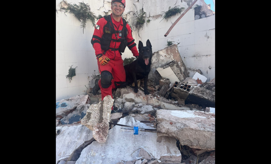 Com certificação nacional de duplas, Paraná amplia número de cães aptos para resgates