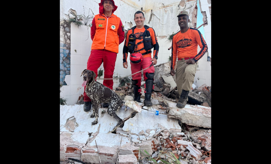 Com certificação nacional de duplas, Paraná amplia número de cães aptos para resgates