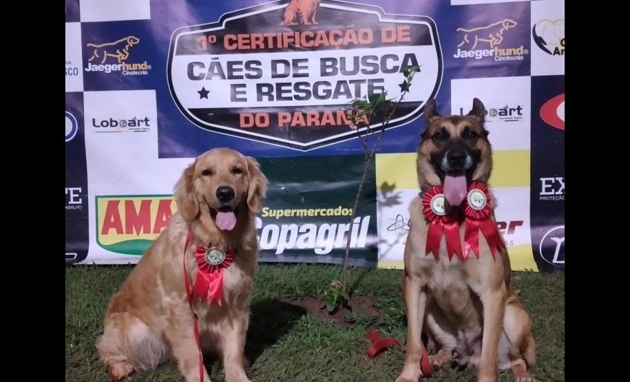 Com certificação nacional de duplas, Paraná amplia número de cães aptos para resgates