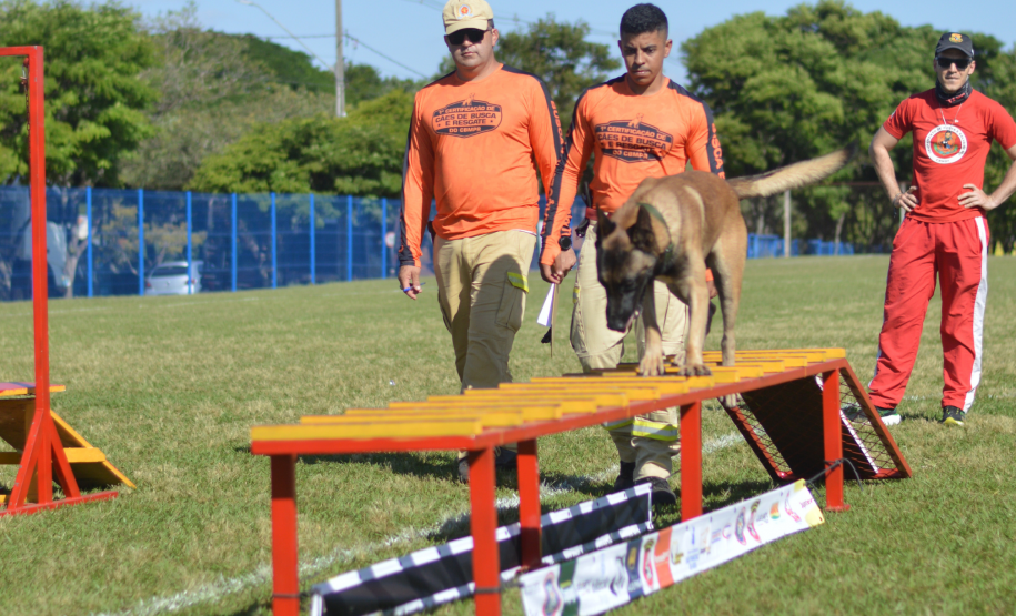 Com certificação nacional de duplas, Paraná amplia número de cães aptos para resgates