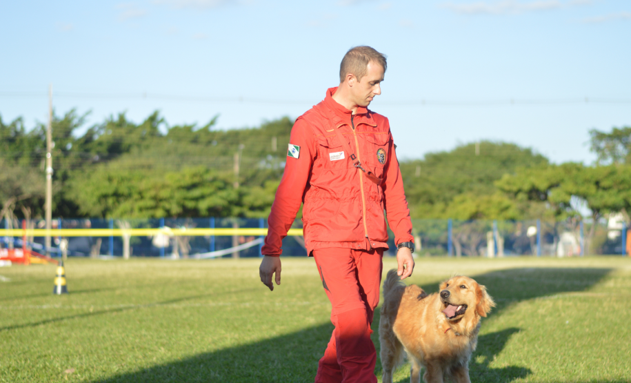 Com certificação nacional de duplas, Paraná amplia número de cães aptos para resgates
