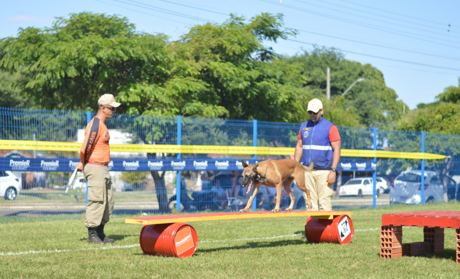 Com certificação nacional de duplas, Paraná amplia número de cães aptos para resgates