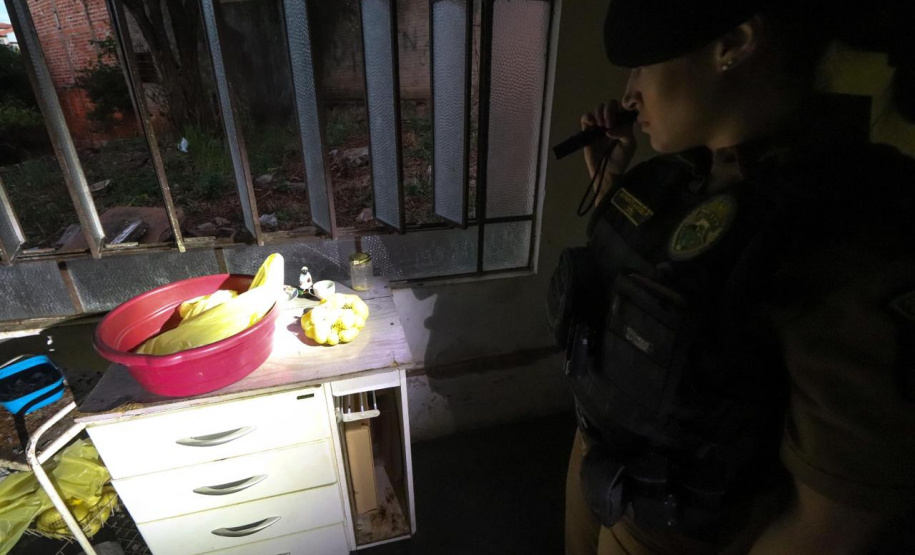 Operação Cosud: região Sul e Sudeste fortalecem o combate ao crime