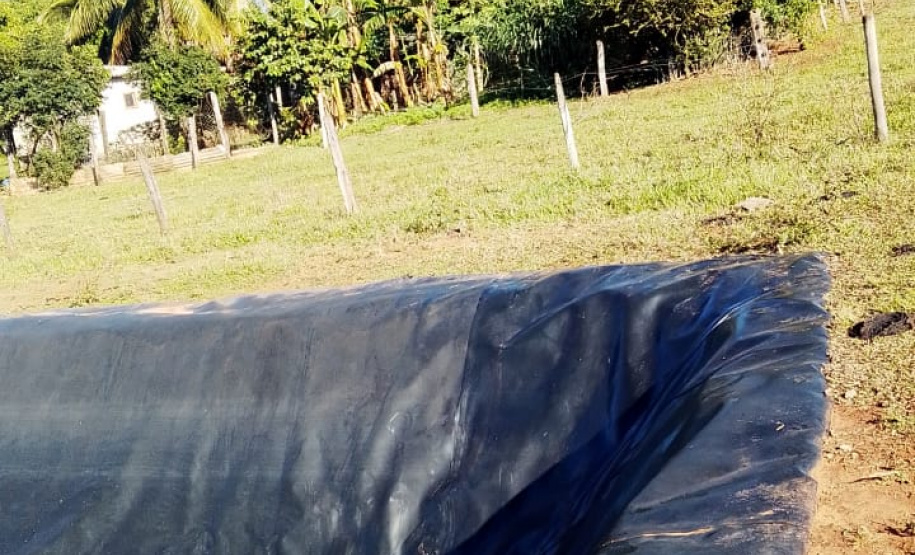 Crianças desaparecidas em Querência do Norte são encontradas por policiais militares