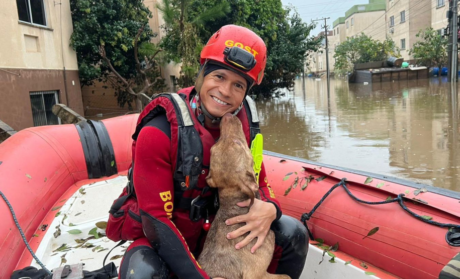 Com 104 agentes e muita tecnologia, forças de segurança do PR seguem apoiando o RS