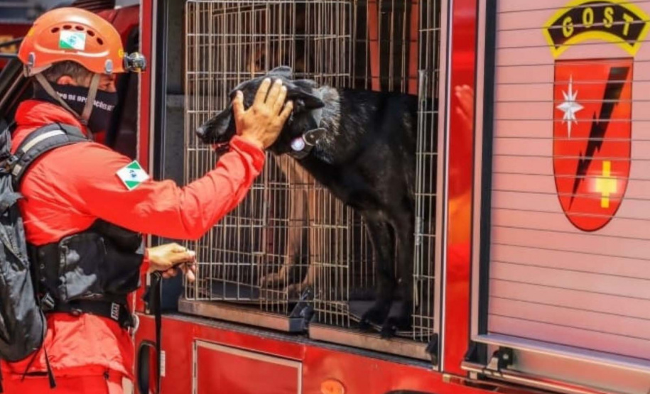 Paraná vai mandar novos bombeiros com cães de busca para o Rio Grande do Sul