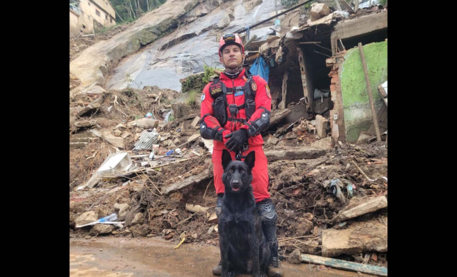 Paraná vai mandar novos bombeiros com cães de busca para o Rio Grande do Sul