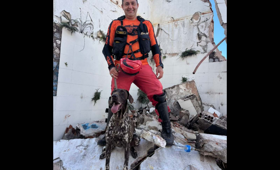 Paraná vai mandar novos bombeiros com cães de busca para o Rio Grande do Sul