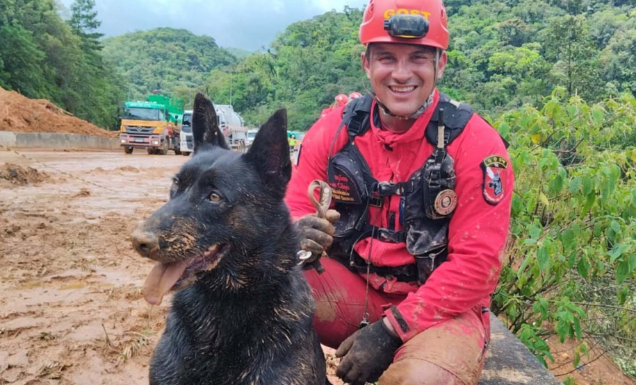 Paraná vai mandar novos bombeiros com cães de busca para o Rio Grande do Sul