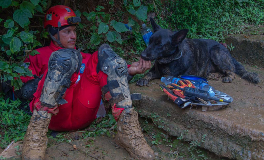 Paraná vai mandar novos bombeiros com cães de busca para o Rio Grande do Sul