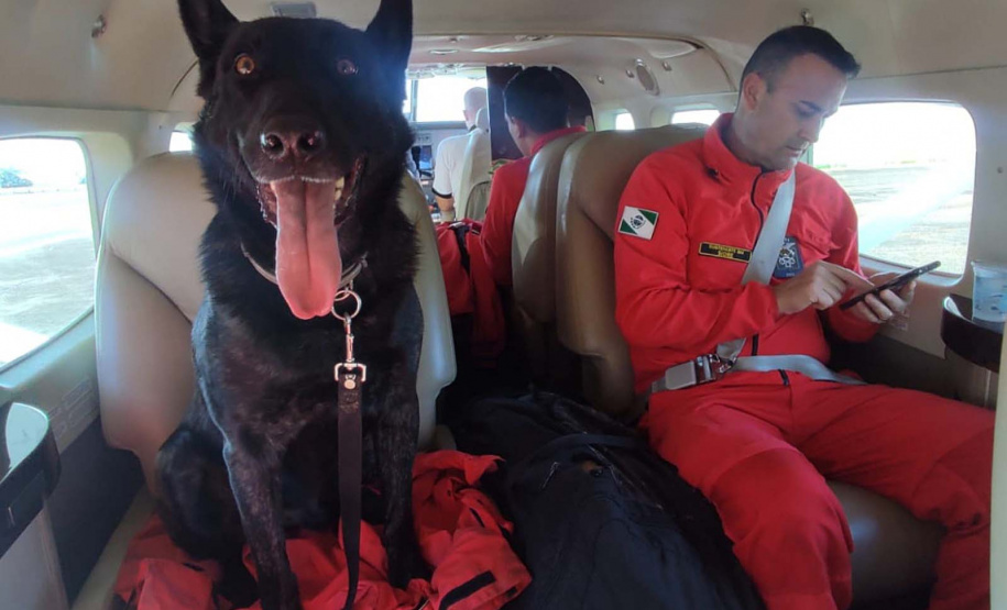Paraná vai mandar novos bombeiros com cães de busca para o Rio Grande do Sul