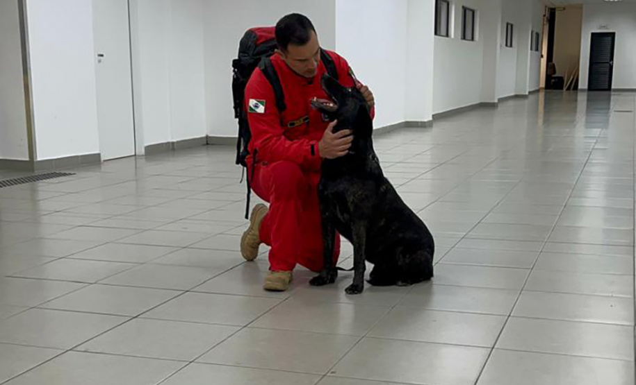 Cães e bombeiros do Paraná embarcam para o RS para ajudar em buscas por vítimas
