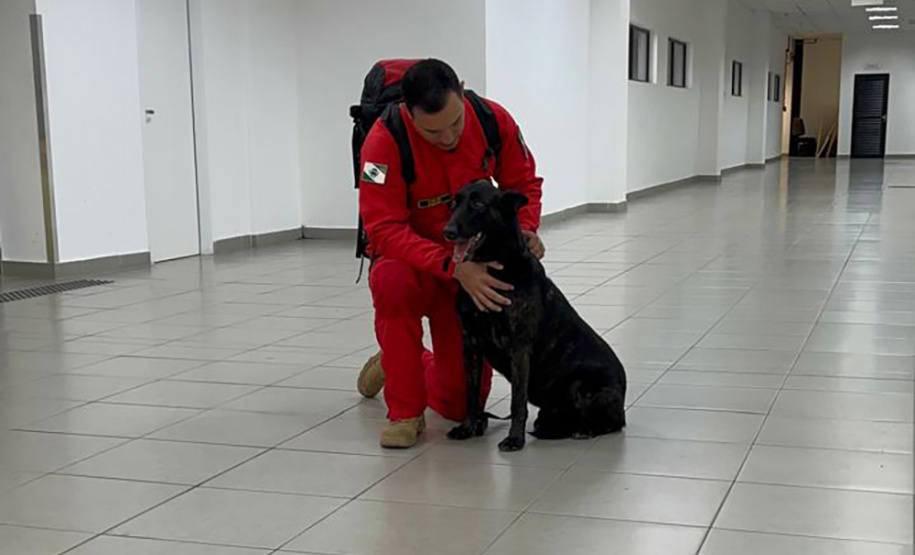 Cães e bombeiros do Paraná embarcam para o RS para ajudar em buscas por vítimas