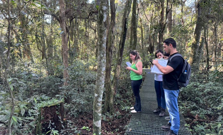 Polícia Científica do Paraná promove curso de reciclagem em perícias ambientais