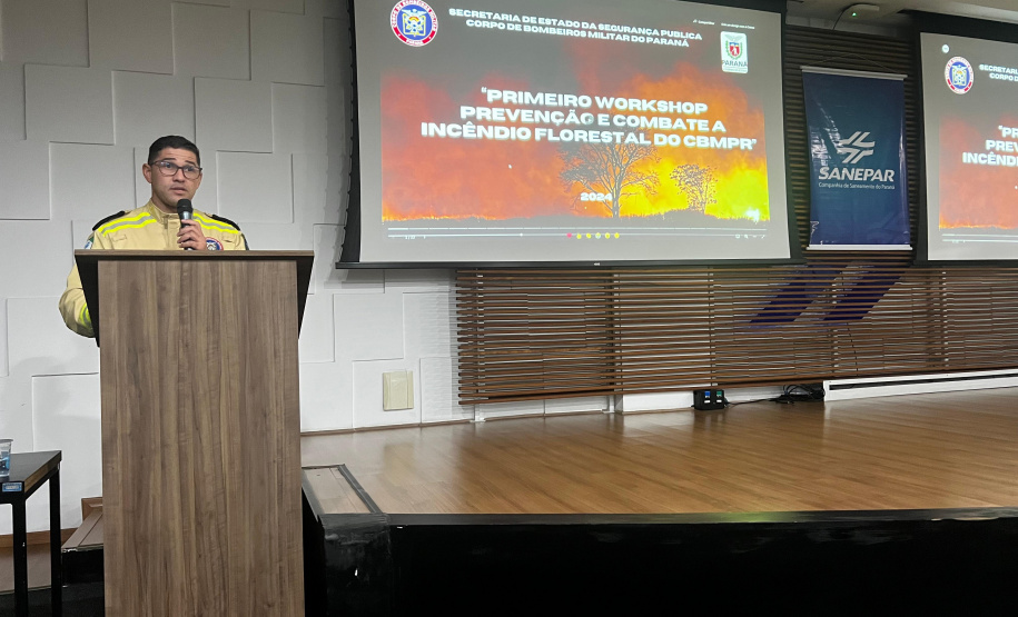 Paraná inicia discussões sobre prevenção e combate a incêndios florestais com workshop