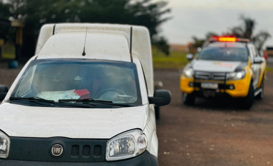 PMPR encontra 34 animais em situação de maus-tratos após abordagem em rodovia