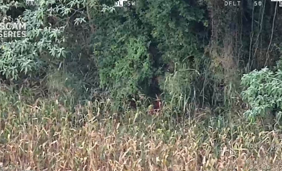 Sensor de helicóptero da PM encontra mulher desaparecida em Guaíra