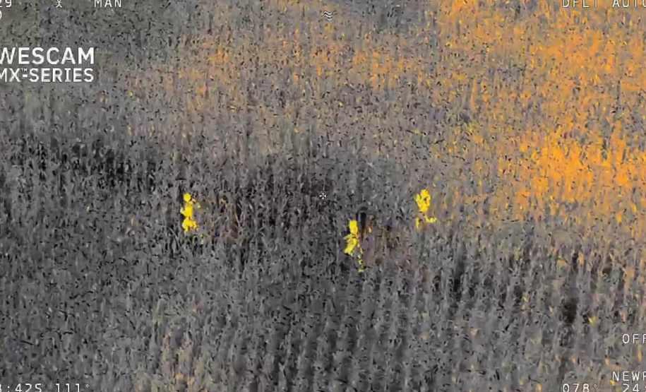 Sensor de helicóptero da PM encontra mulher desaparecida em Guaíra