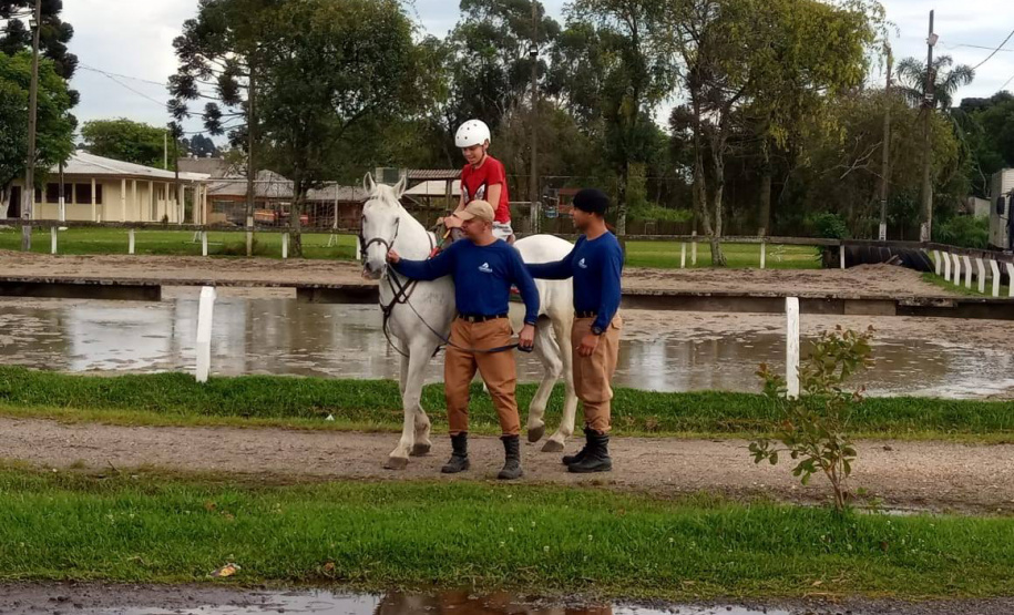 Terapia com cavalos da PMPR colabora na qualidade de vida de pessoas com deficiência
