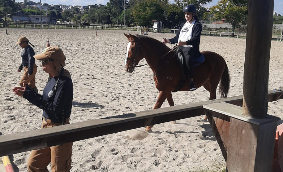 Terapia com cavalos da PMPR colabora na qualidade de vida de pessoas com deficiência