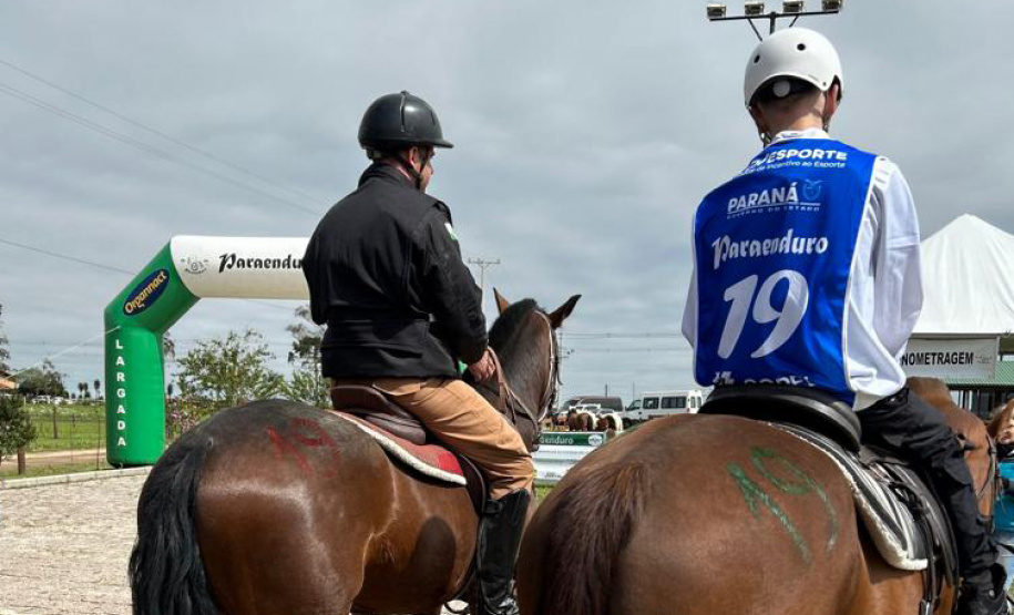 Terapia com cavalos da PMPR colabora na qualidade de vida de pessoas com deficiência