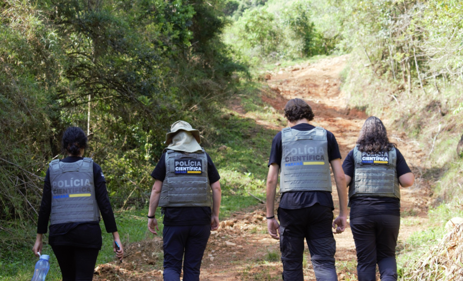 Meio Ambiente: Seção de Crimes Ambientais da Polícia Científica já emitiu mais de mil requisições de exames periciais