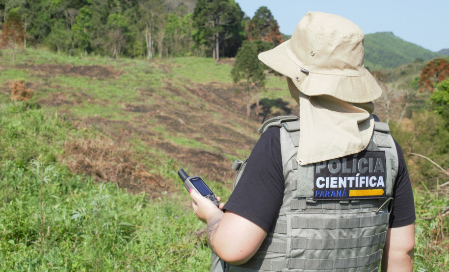 Meio Ambiente: Seção de Crimes Ambientais da Polícia Científica já emitiu mais de mil requisições de exames periciais
