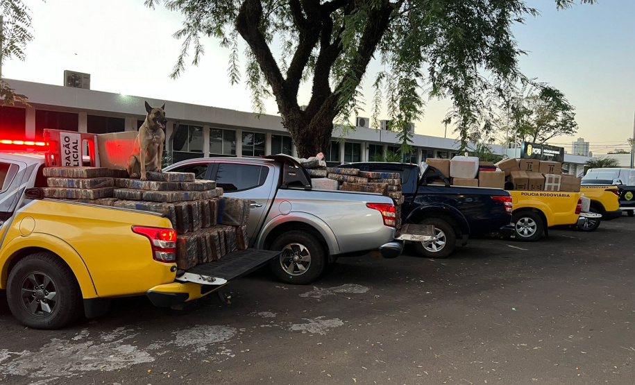 Polícia Militar do Paraná apreende 5,6 toneladas de maconha em Maringá